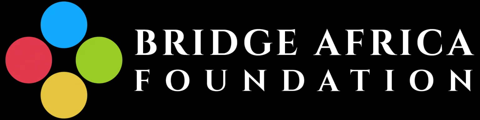 Bridge Africa Foundation logo